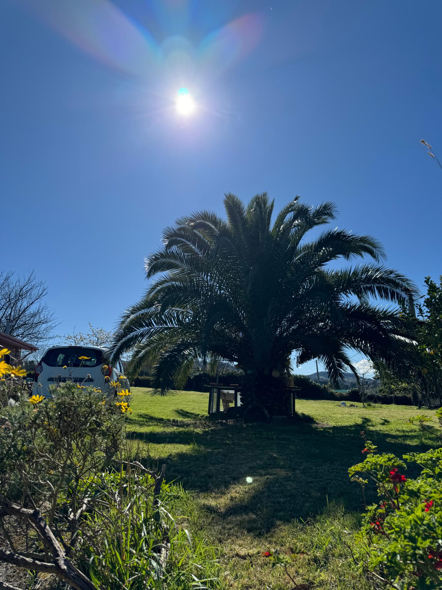  en venta finca rústica Arguero Gijón 35