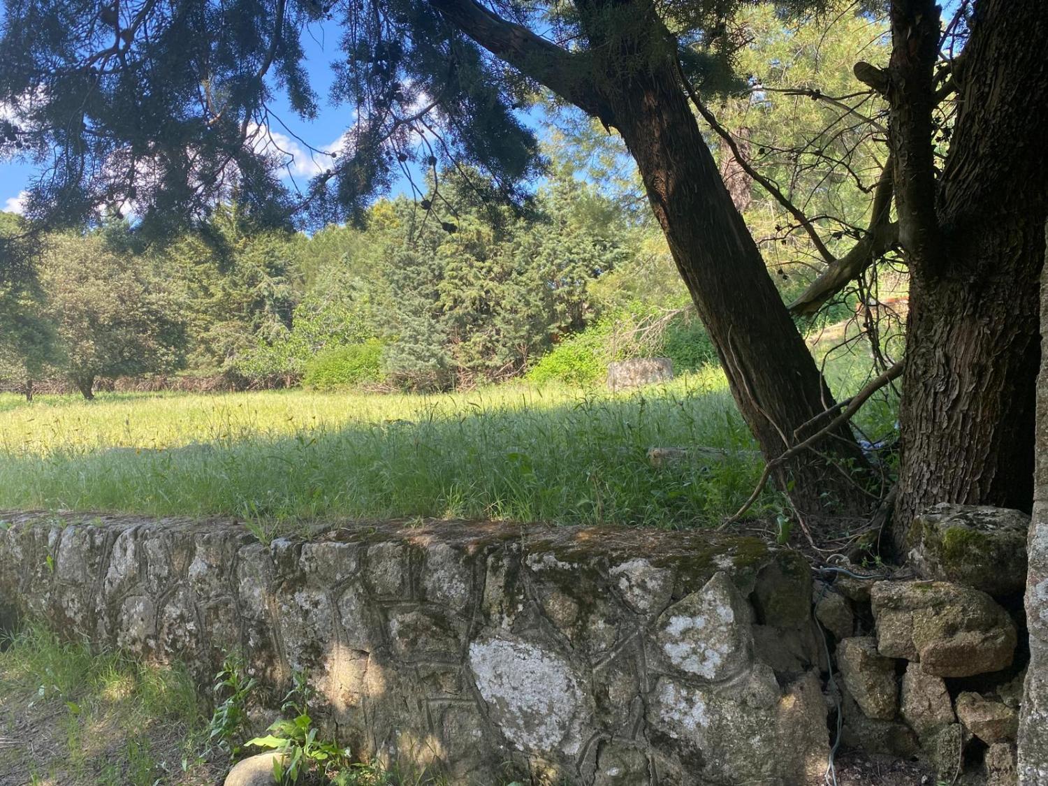  en venta terreno Sotillo De La Adrada Valle Del Tiétar 4