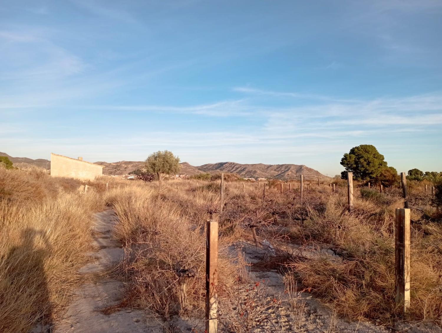 en venta terreno Agost Alacantí 14