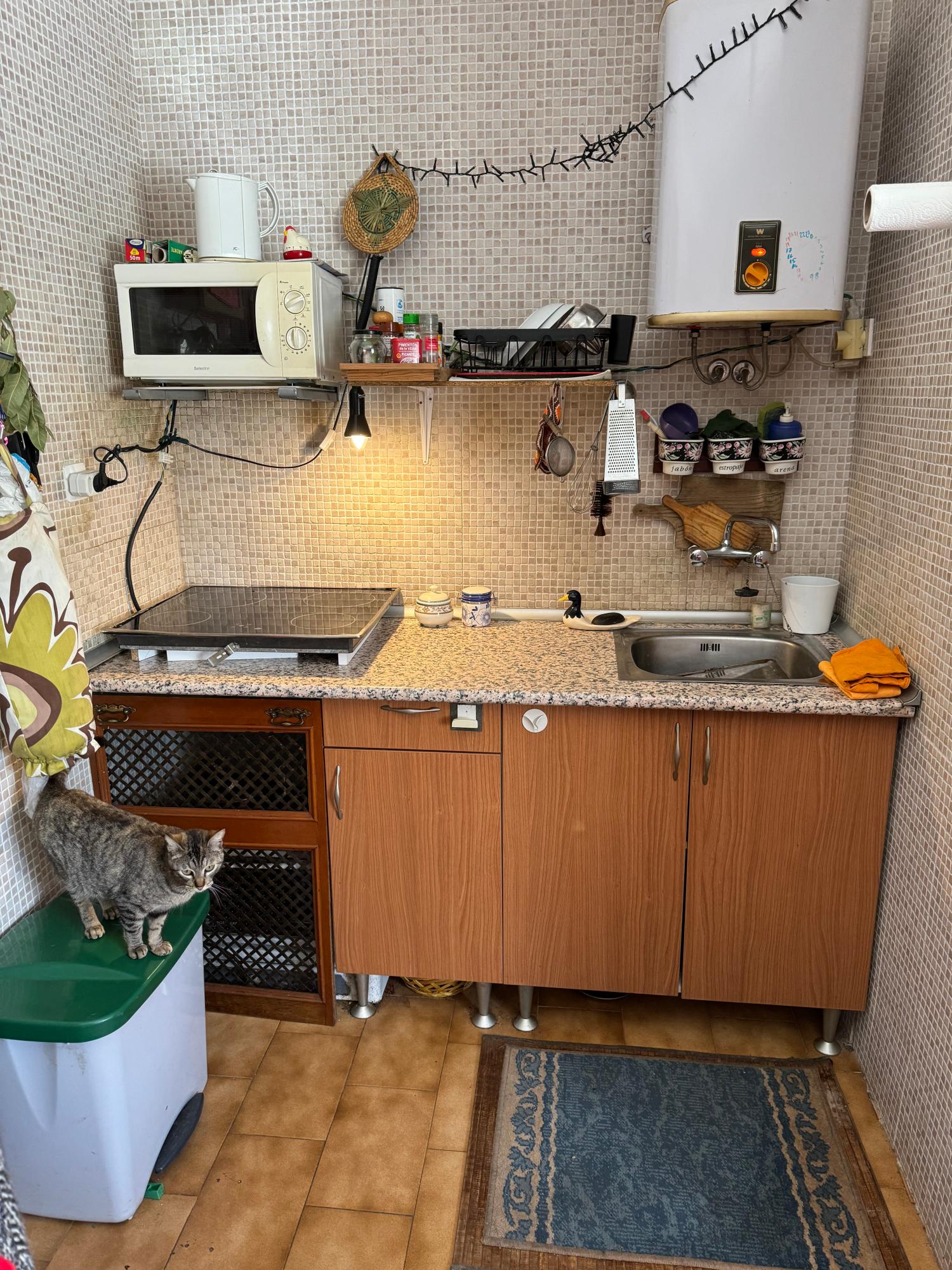  en venta finca rústica Arguero Gijón 26