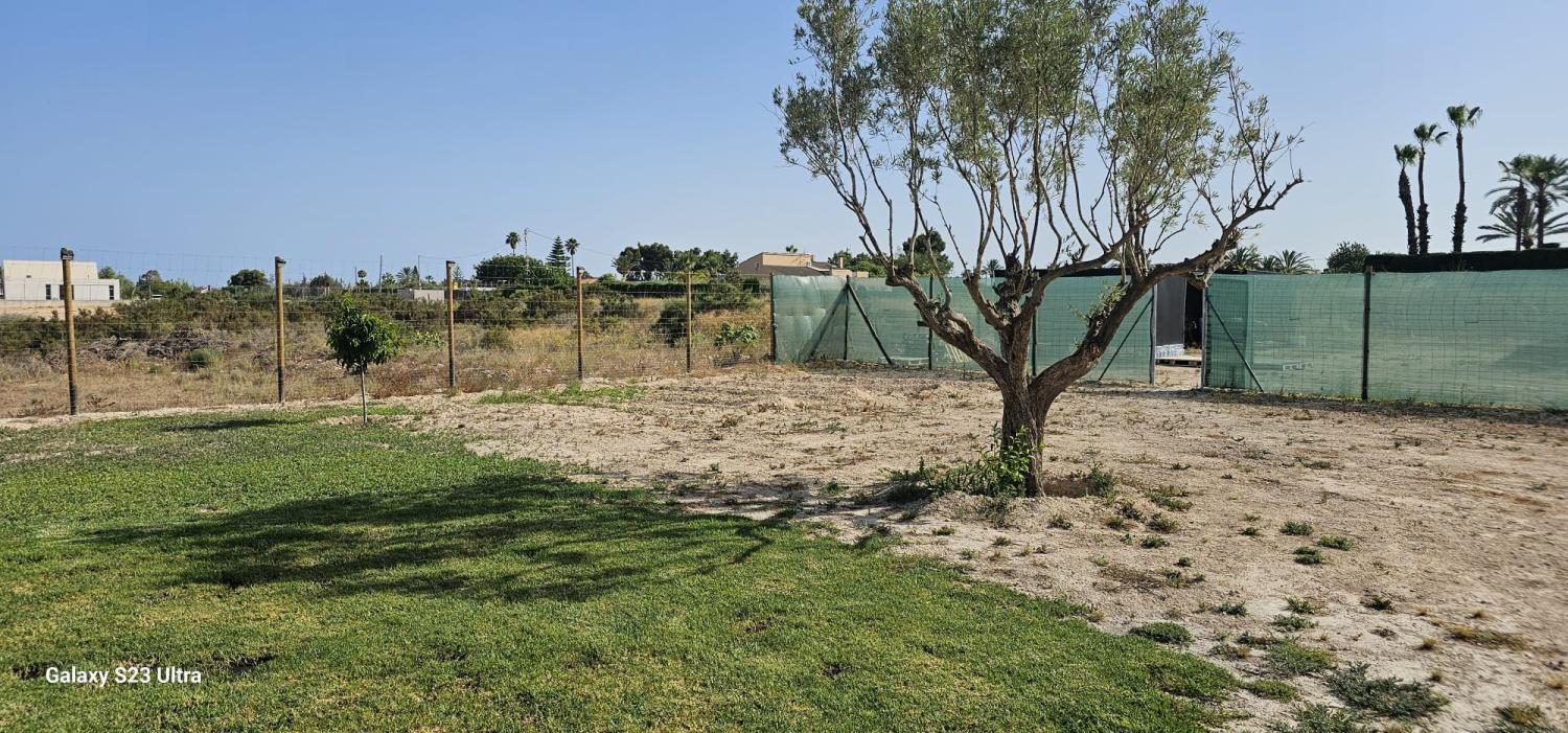  en venta finca rústica Perleta Baix Vinalopó 11