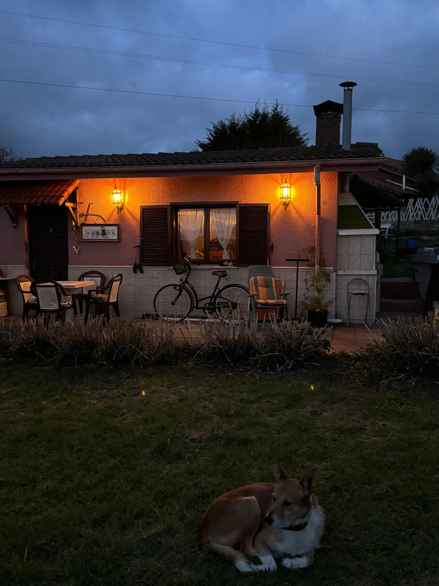  en venta finca rústica Arguero Gijón 7