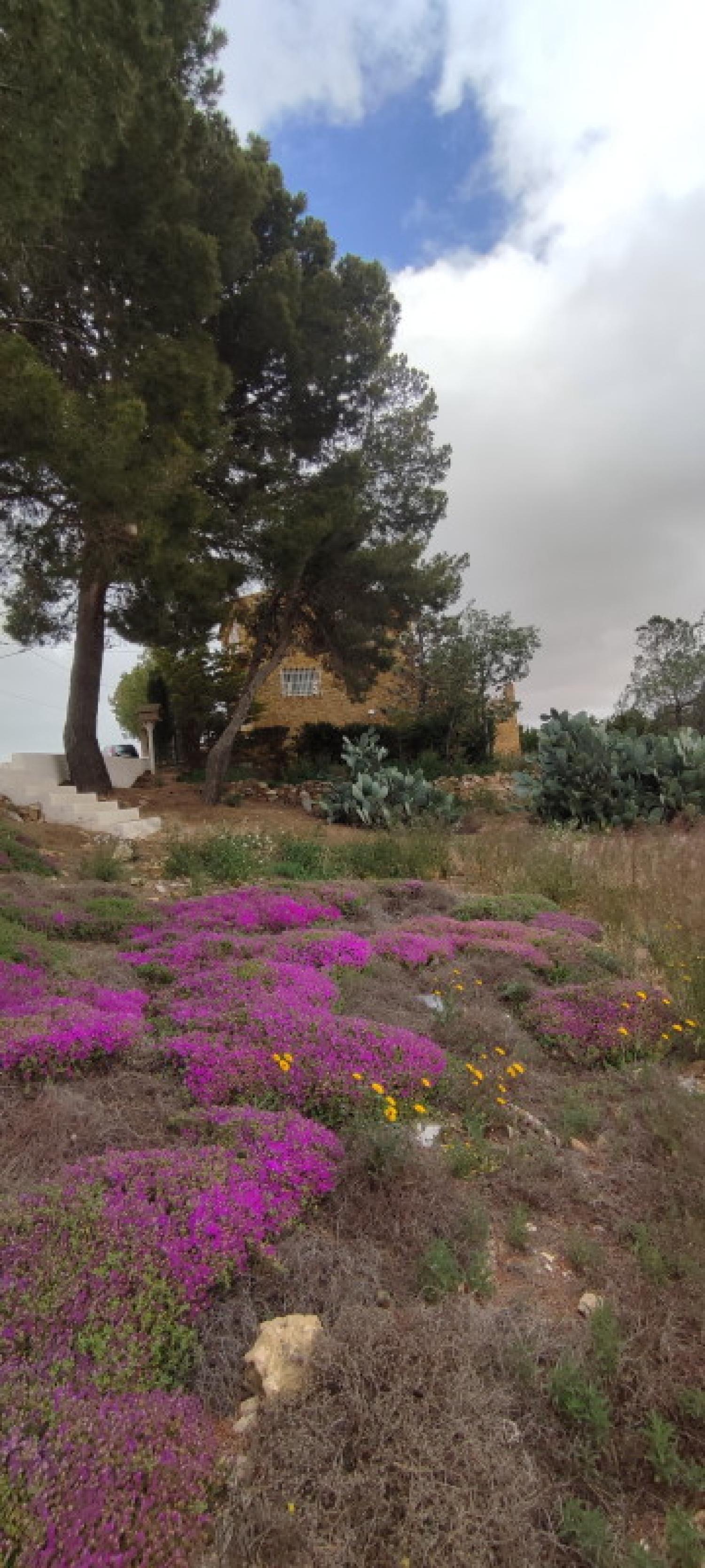 en venta casa La Higuera Monte Ibérico Almansa 4