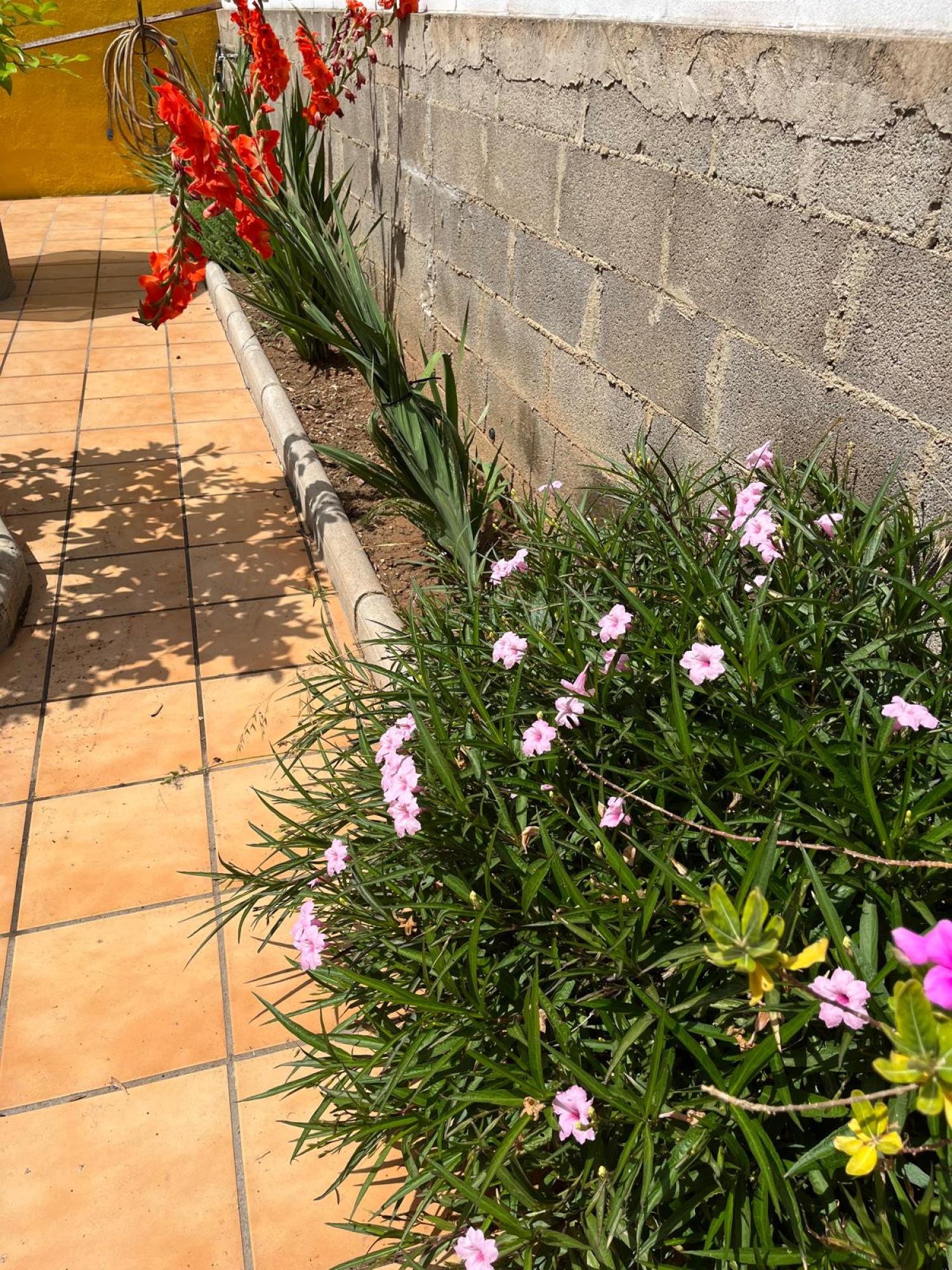  en venta chalet Grao Plana Alta 50