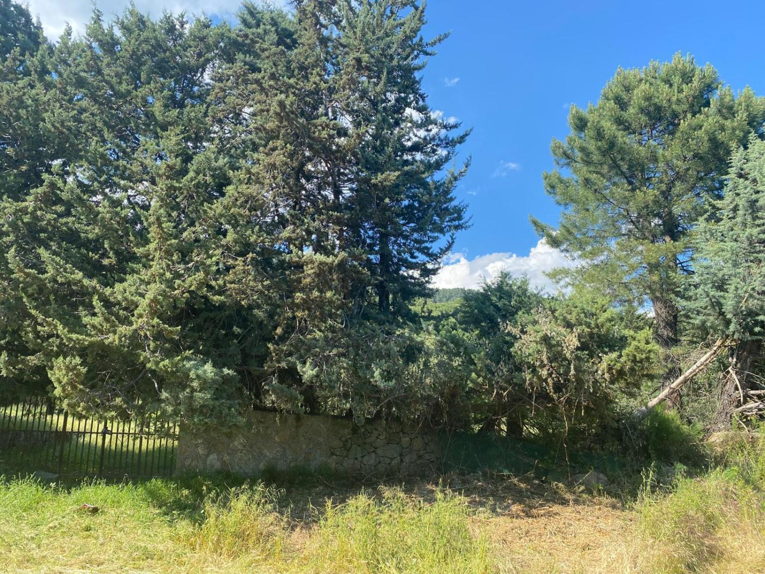  en venta terreno Sotillo De La Adrada Valle Del Tiétar 7