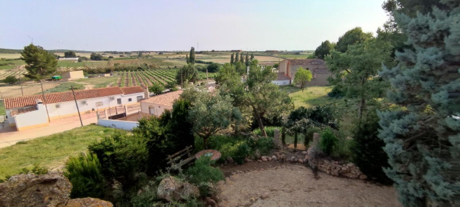  en venta casa La Higuera Monte Ibérico Almansa 38
