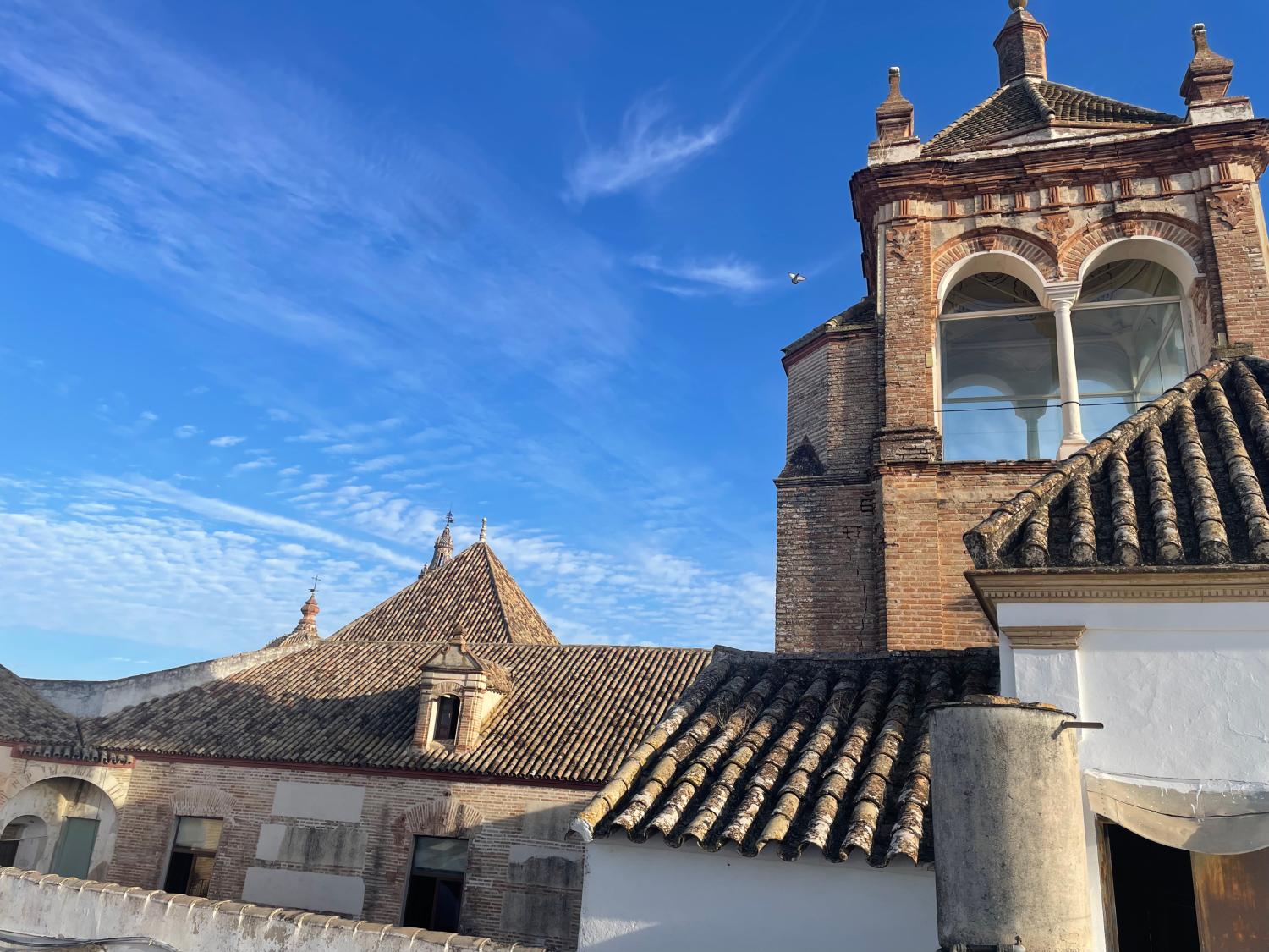  en venta casa Écija Écija 38