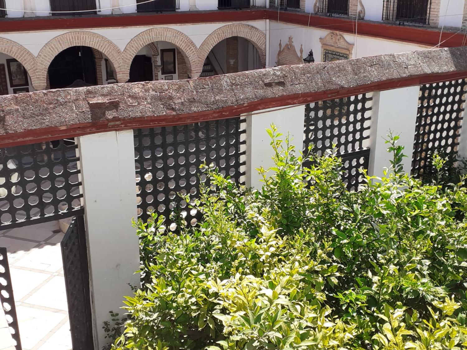  en venta mansion Écija Écija 16