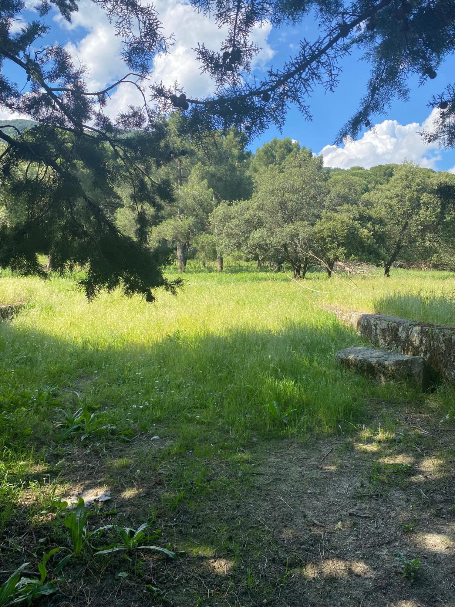  en venta terreno Sotillo De La Adrada Valle Del Tiétar 8