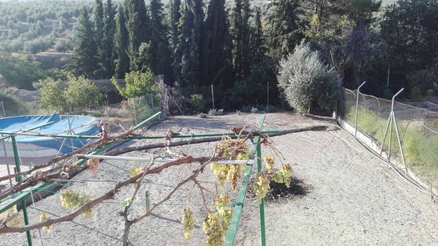  en venta casa de pueblo Gutar Villas (Las) 18