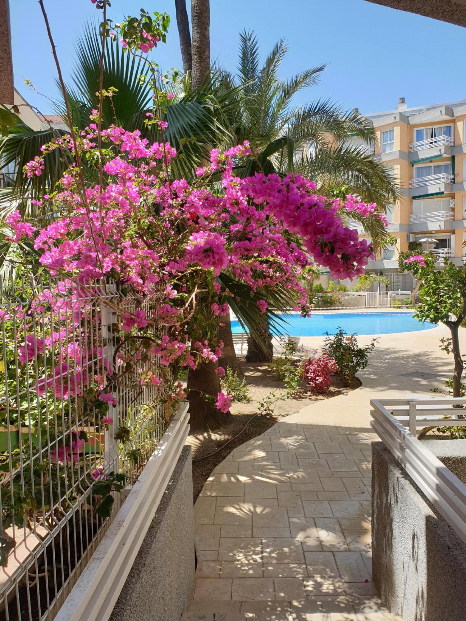  en venta apartamento Salou Tarragonès 1
