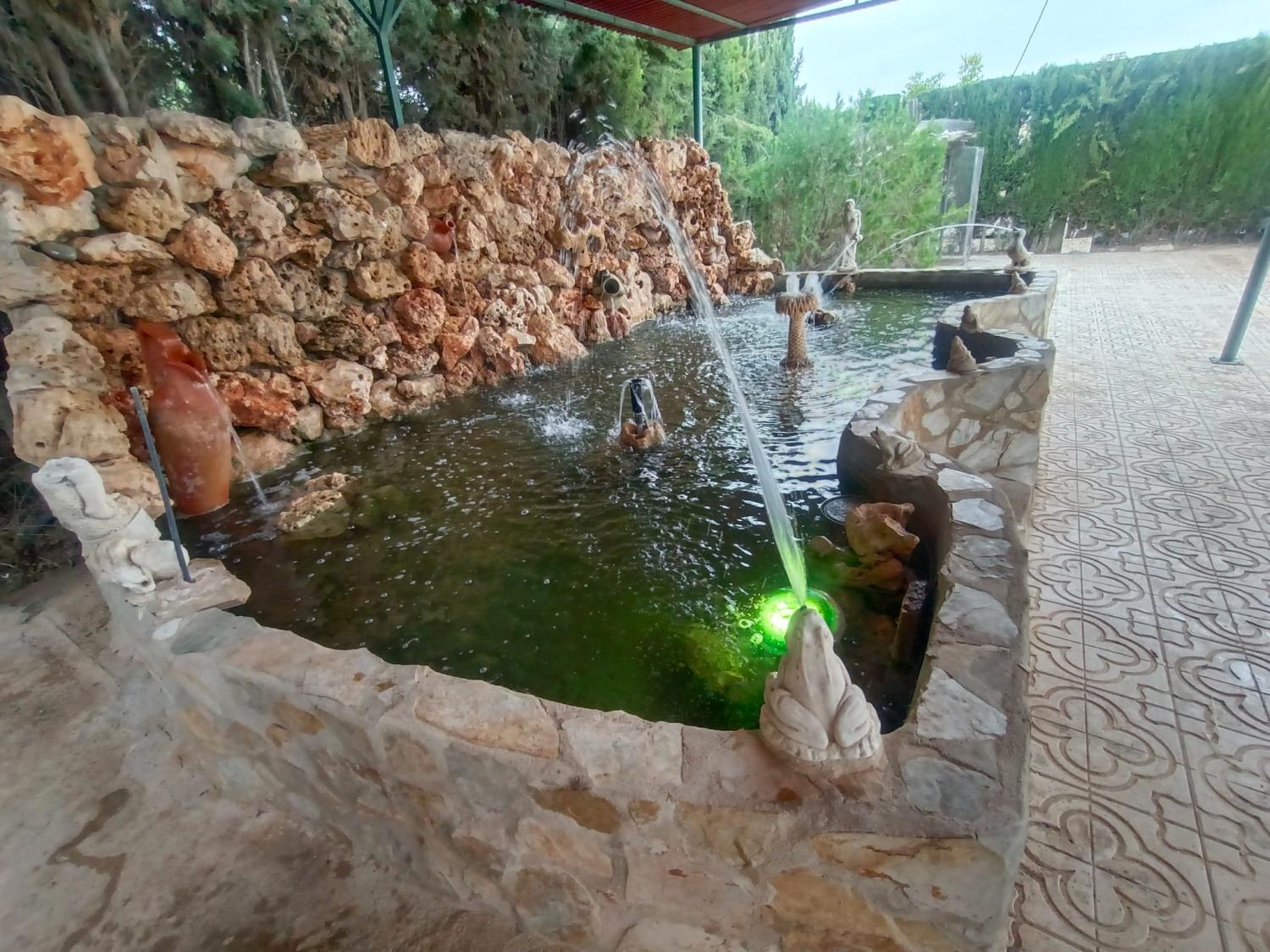  en venta chalet Crevillent Baix Vinalopó 6