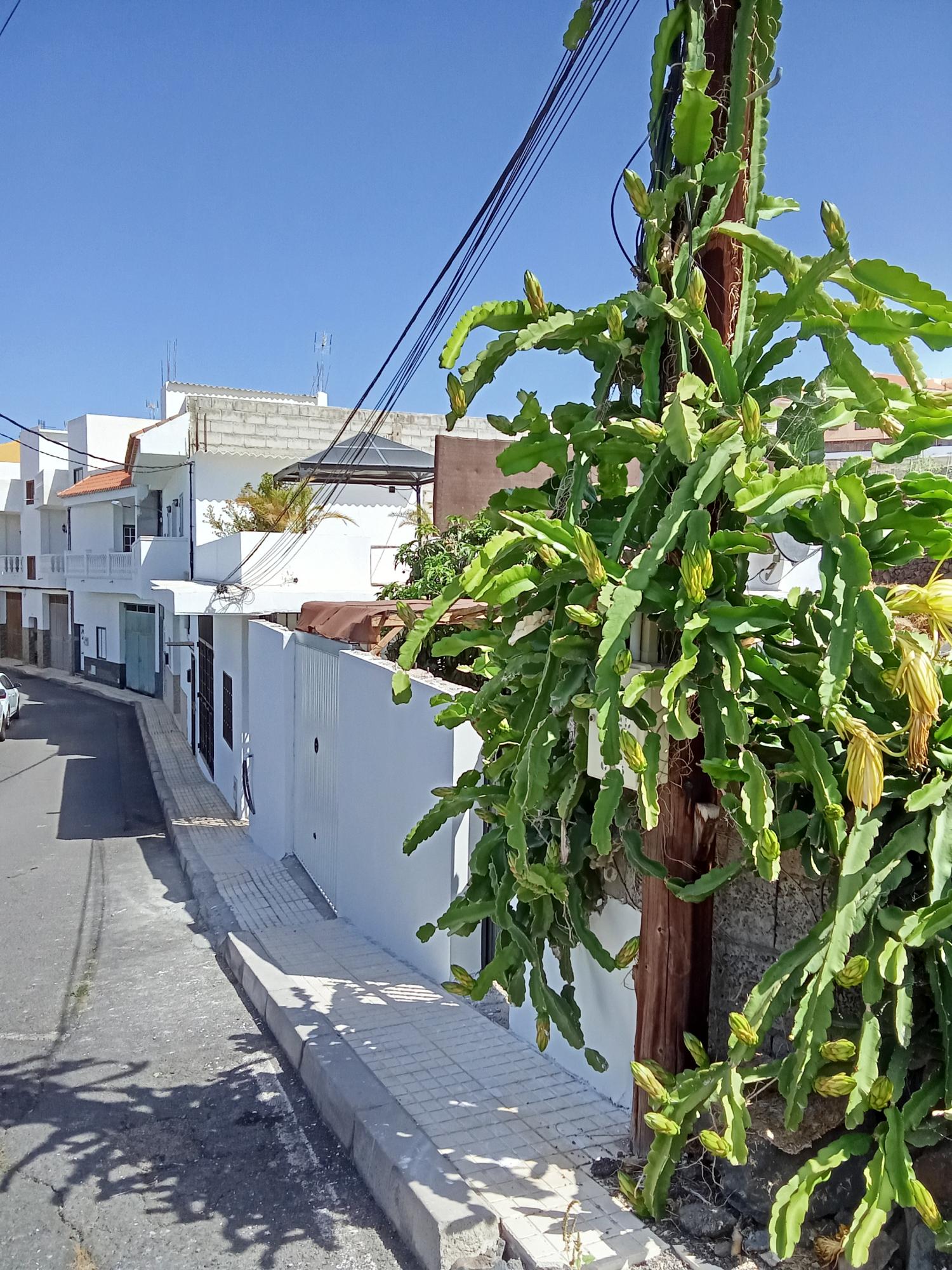  en venta chalet Los Menores Zona Sur 20