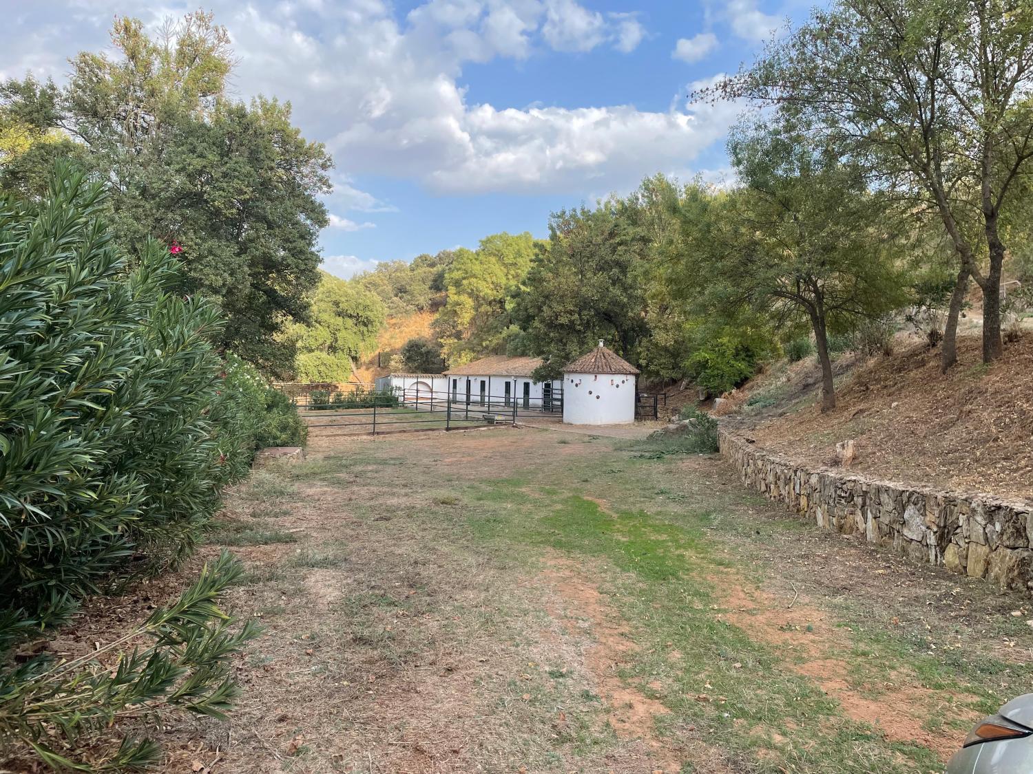 en venta finca rústica Constantina Sierra Norte 30