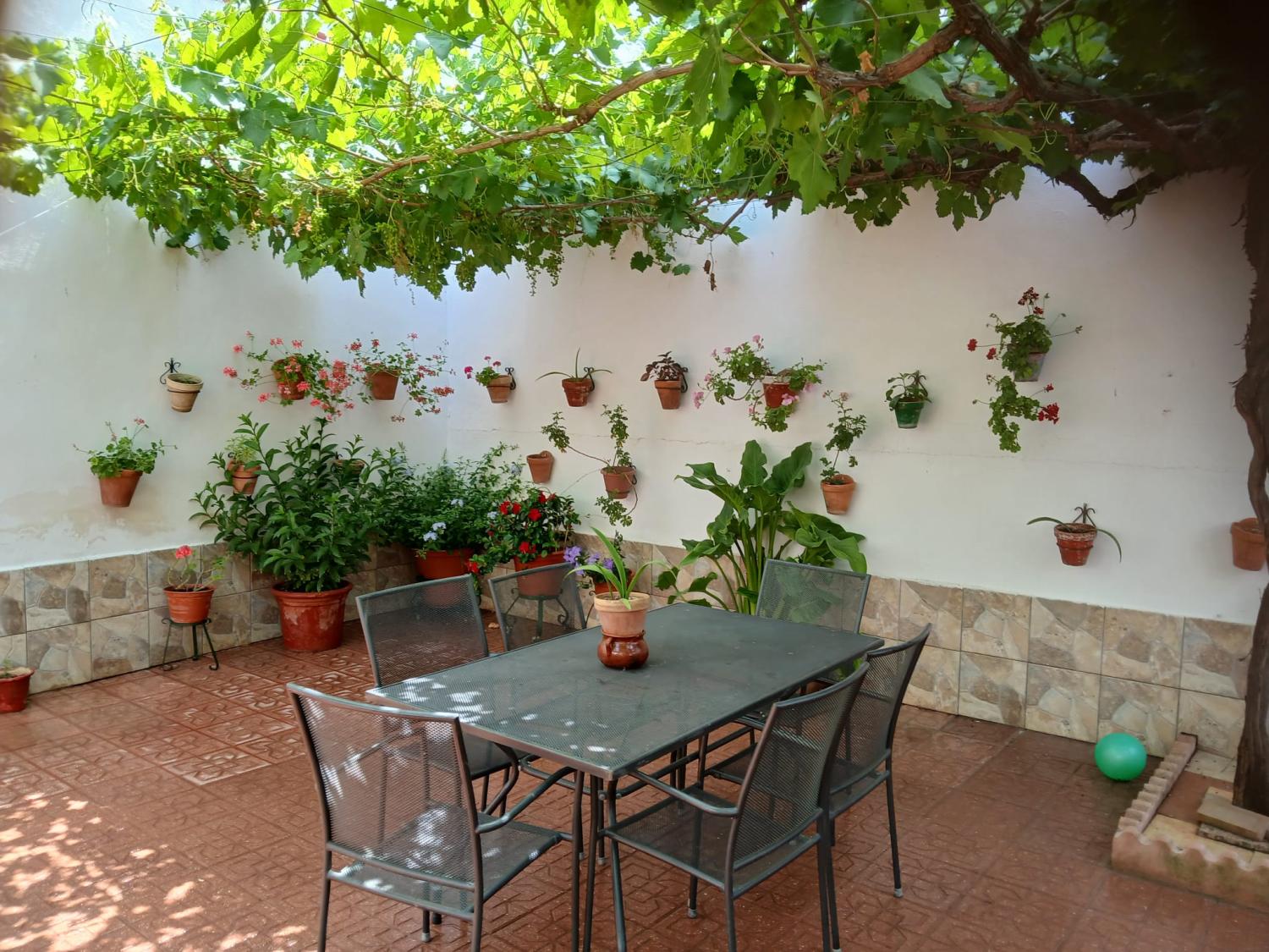  en venta casa Cabra Subbética 18