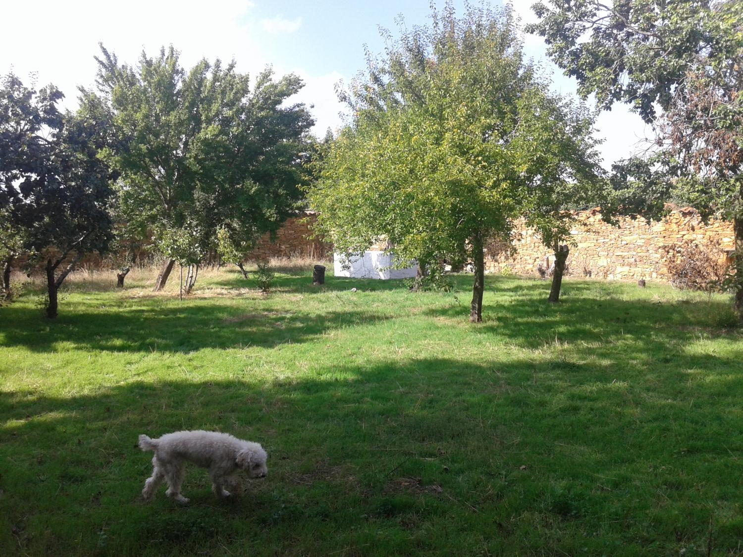  en venta finca rústica Val De San Lorenzo Astorga 11
