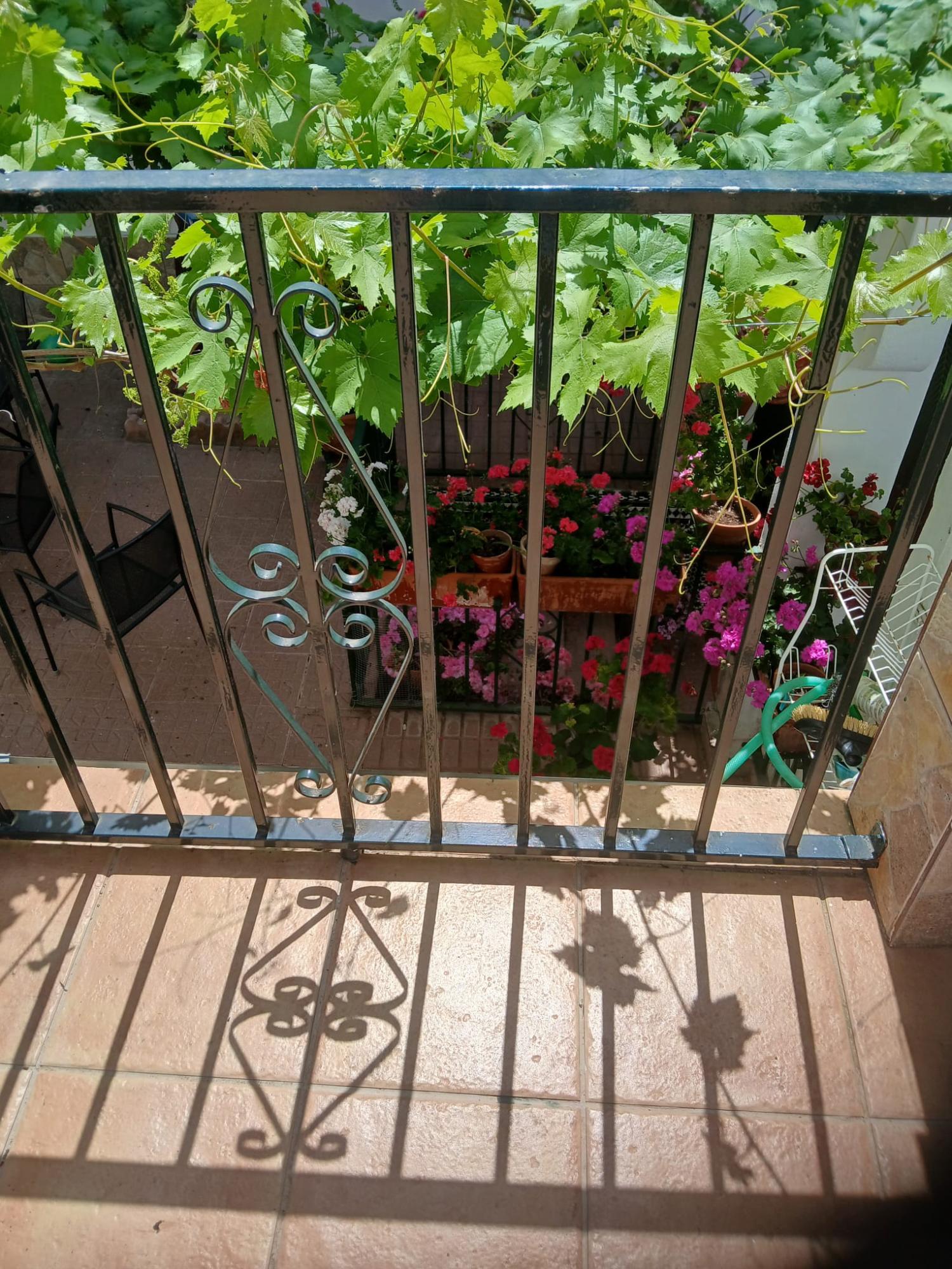  en venta casa Cabra Subbética 21