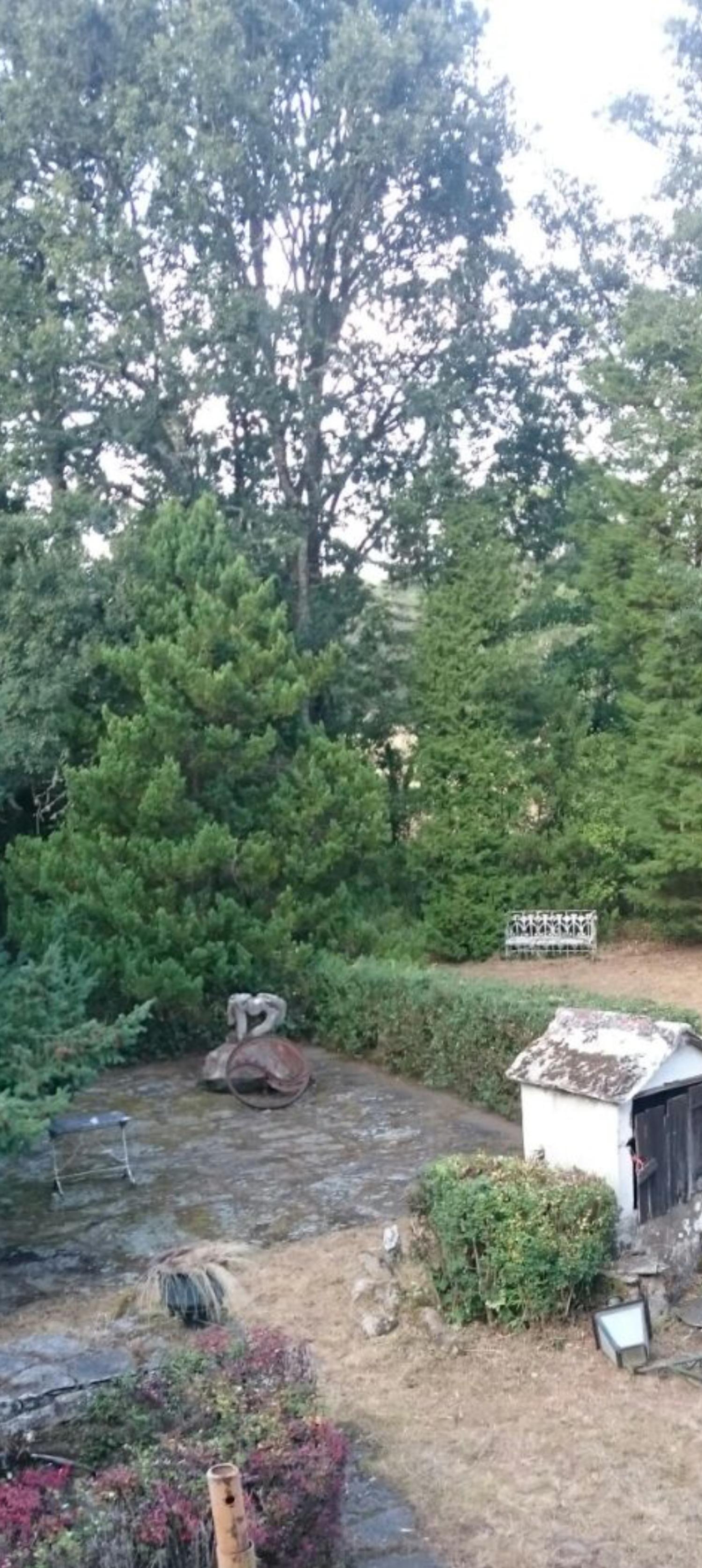  en venta finca rústica Begonte Terra Chá 3