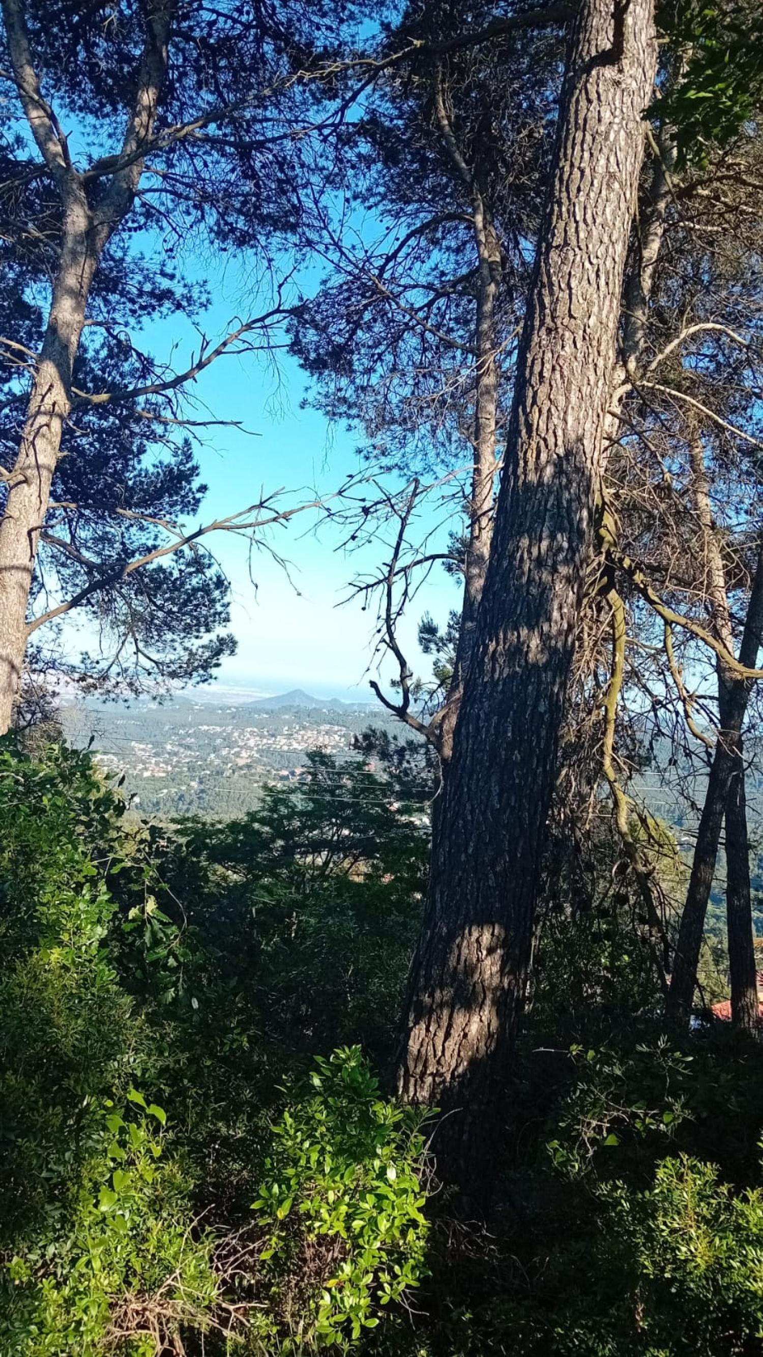  en venta terreno Corbera De Llobregat Baix Llobregat 2