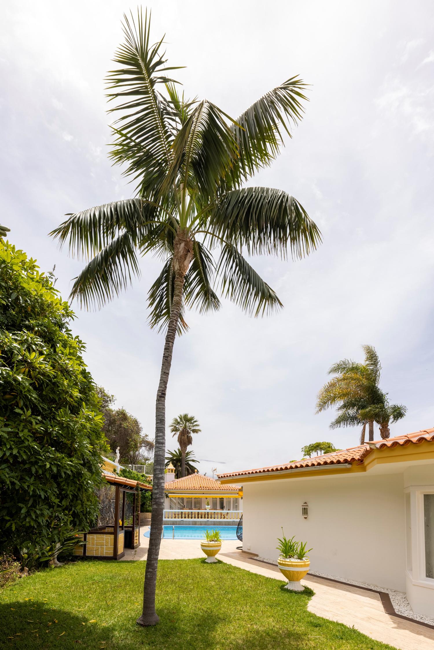  en venta chalet La Orotava 38312 Zona Norte 47
