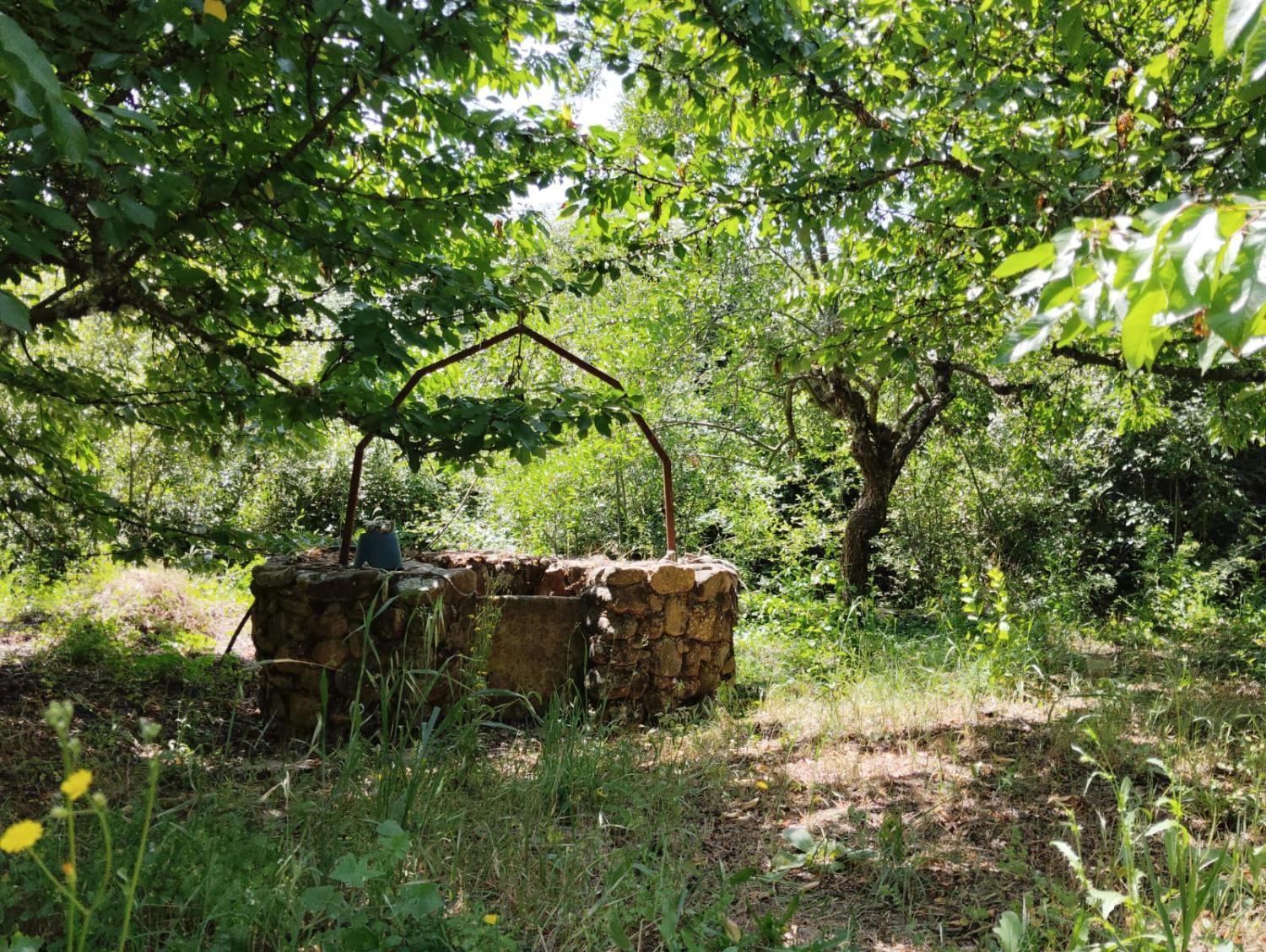  en venta finca rústica Cañamero Villuercas 7