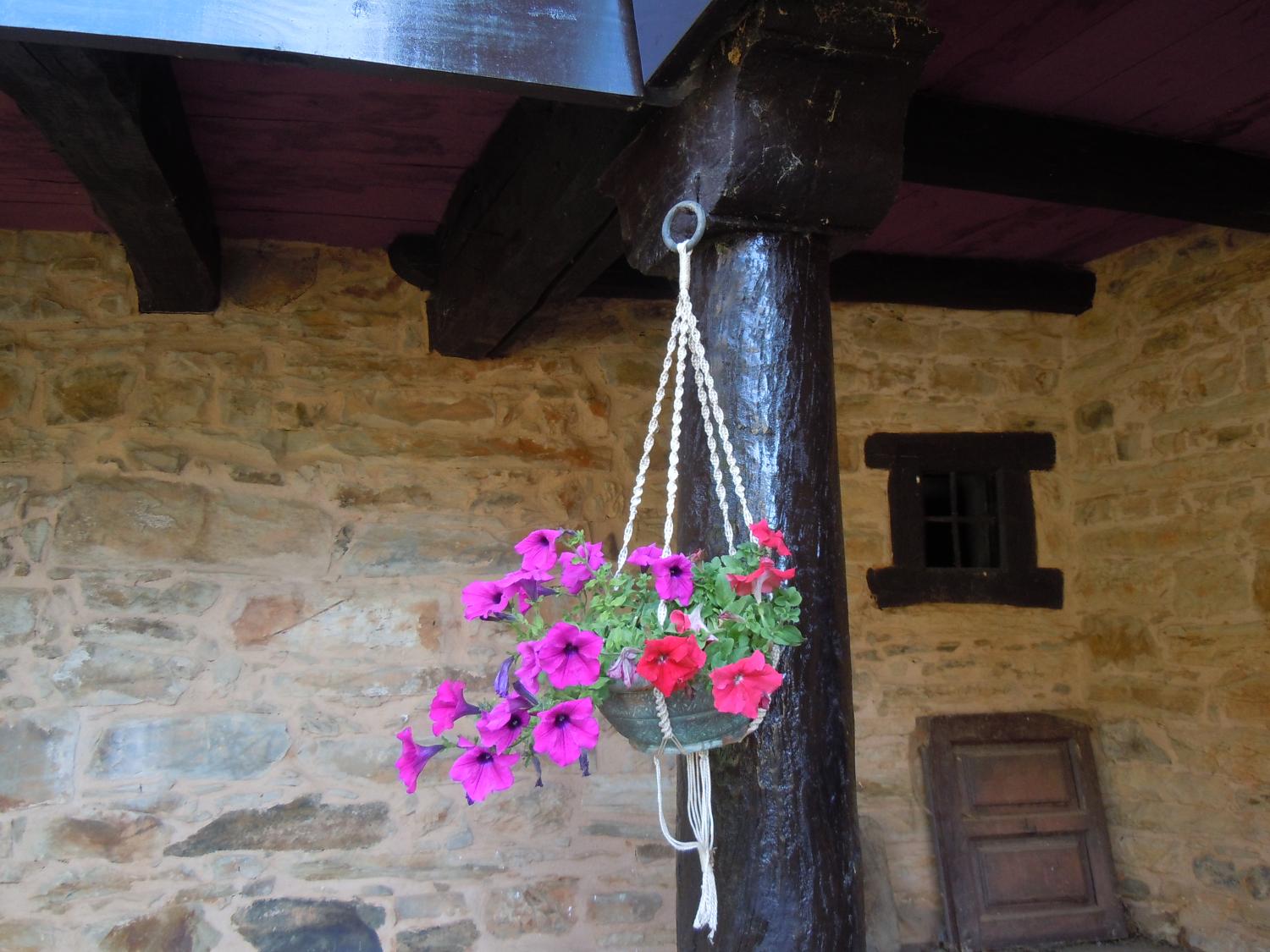  en venta finca rústica Val De San Lorenzo Astorga 12