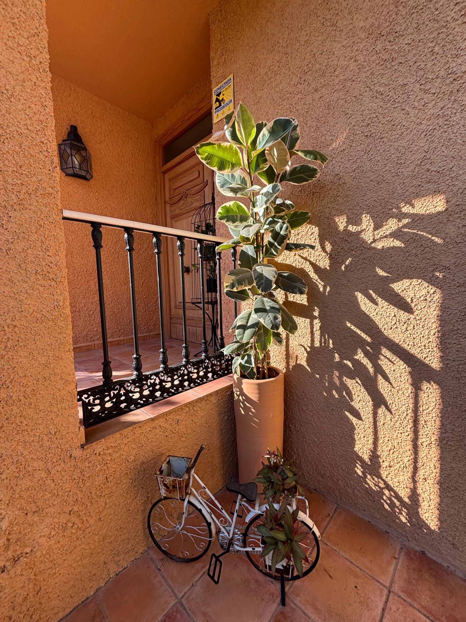  en venta chalet San Vicente Del Raspeig Alacantí 12