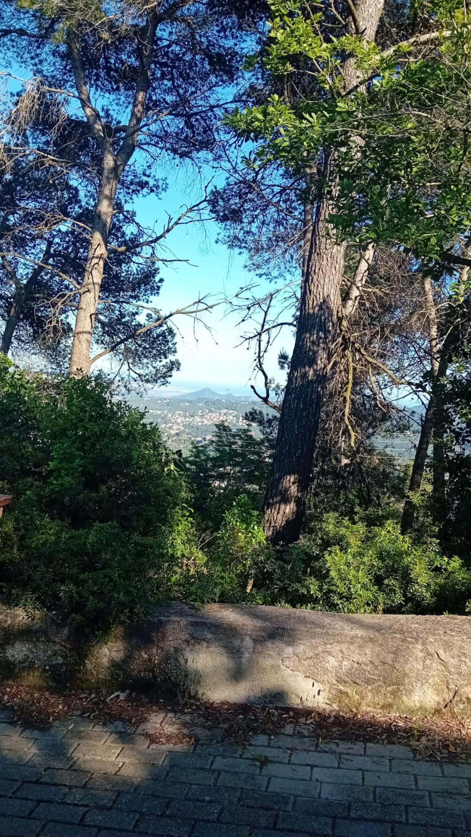  en venta terreno Corbera De Llobregat Baix Llobregat 3