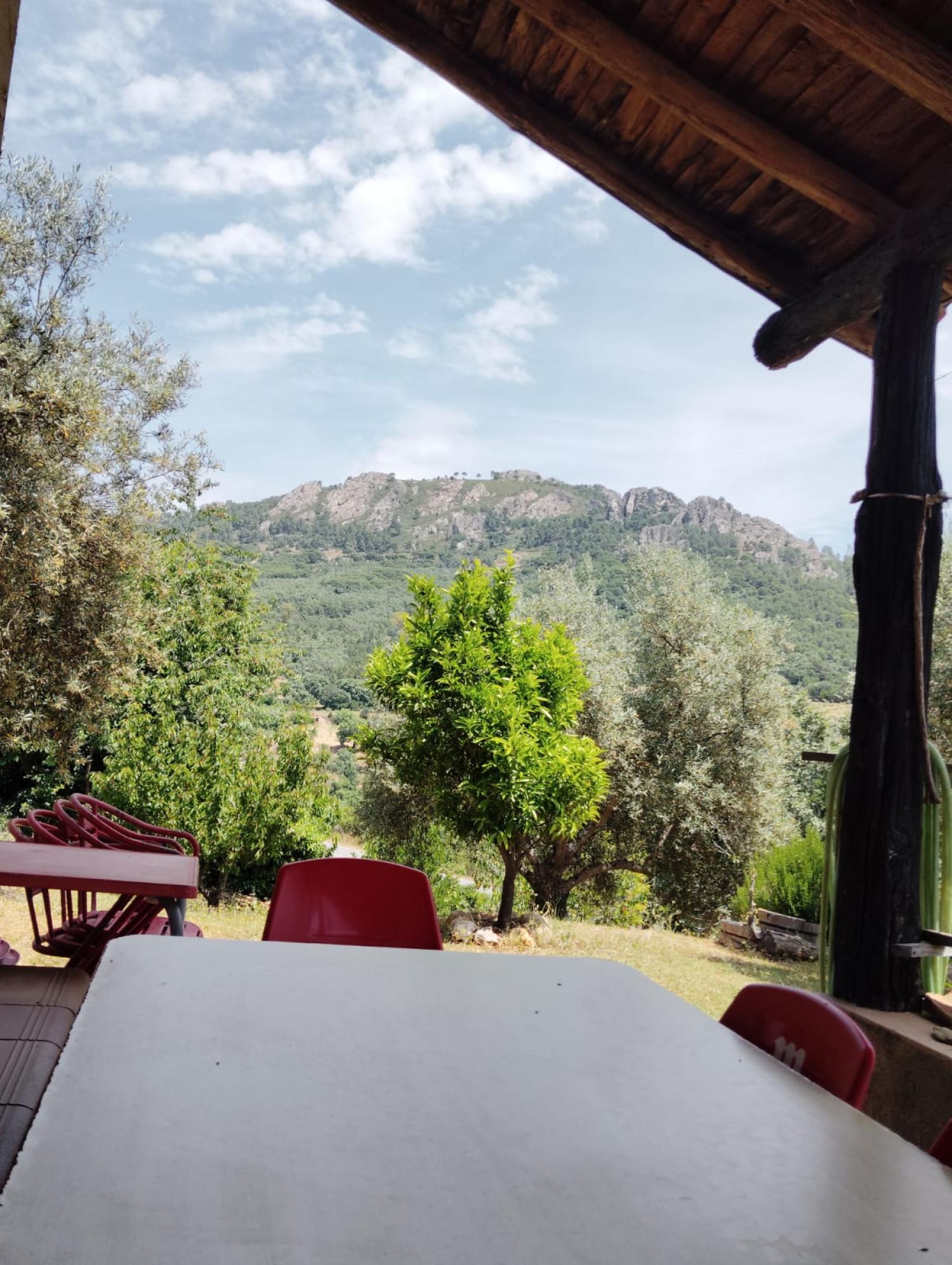  en venta finca rústica Cañamero Villuercas 6