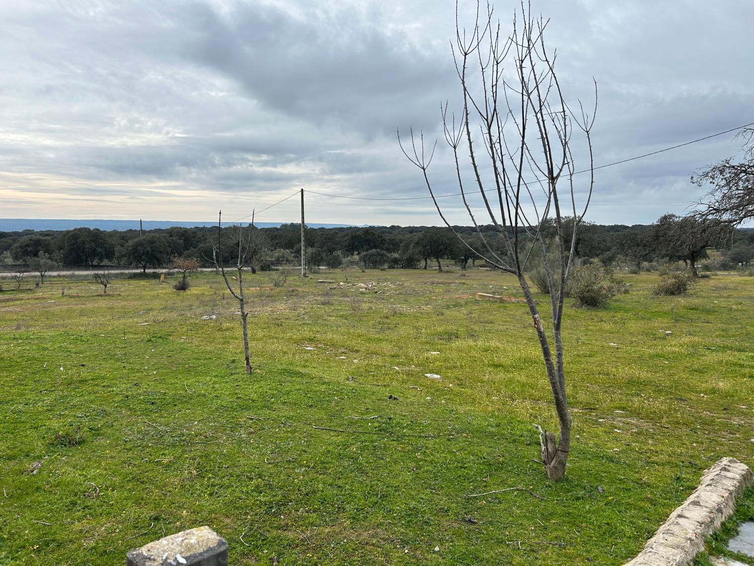  en venta finca rústica Serradilla Monfragüe 23