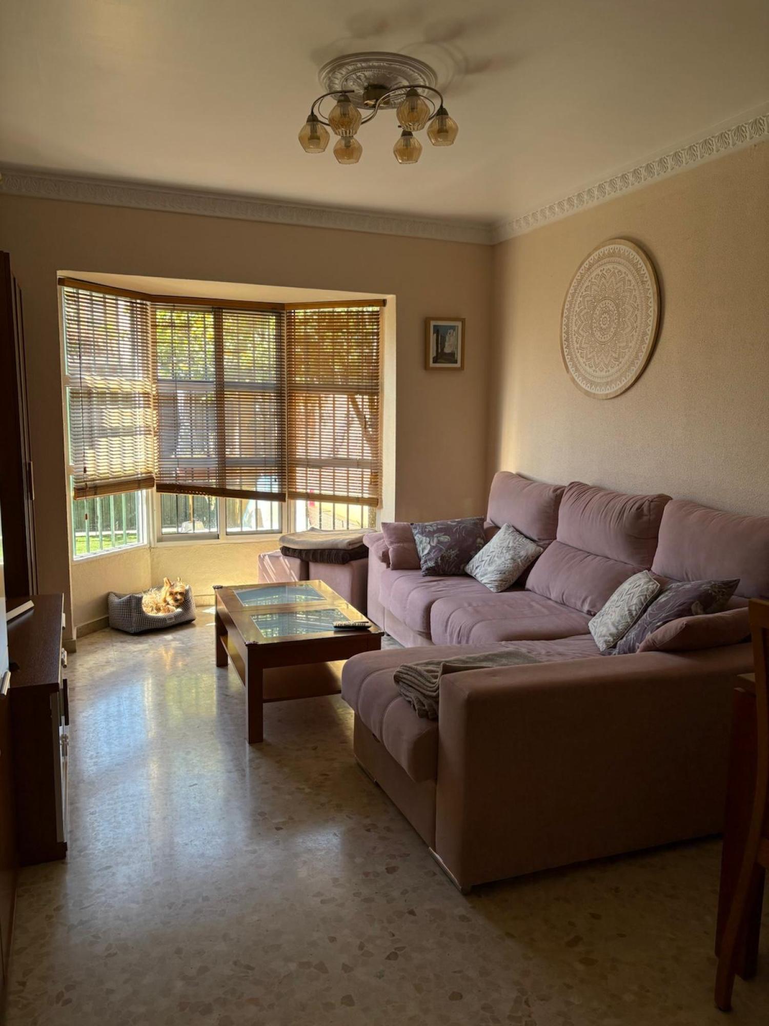  en venta pareado Chiclana De La Frontera Bahía De Cádiz 15