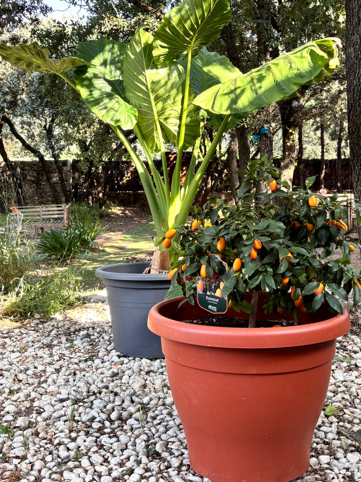  en venta chalet Cotos De Monterrey Sierra Norte 38