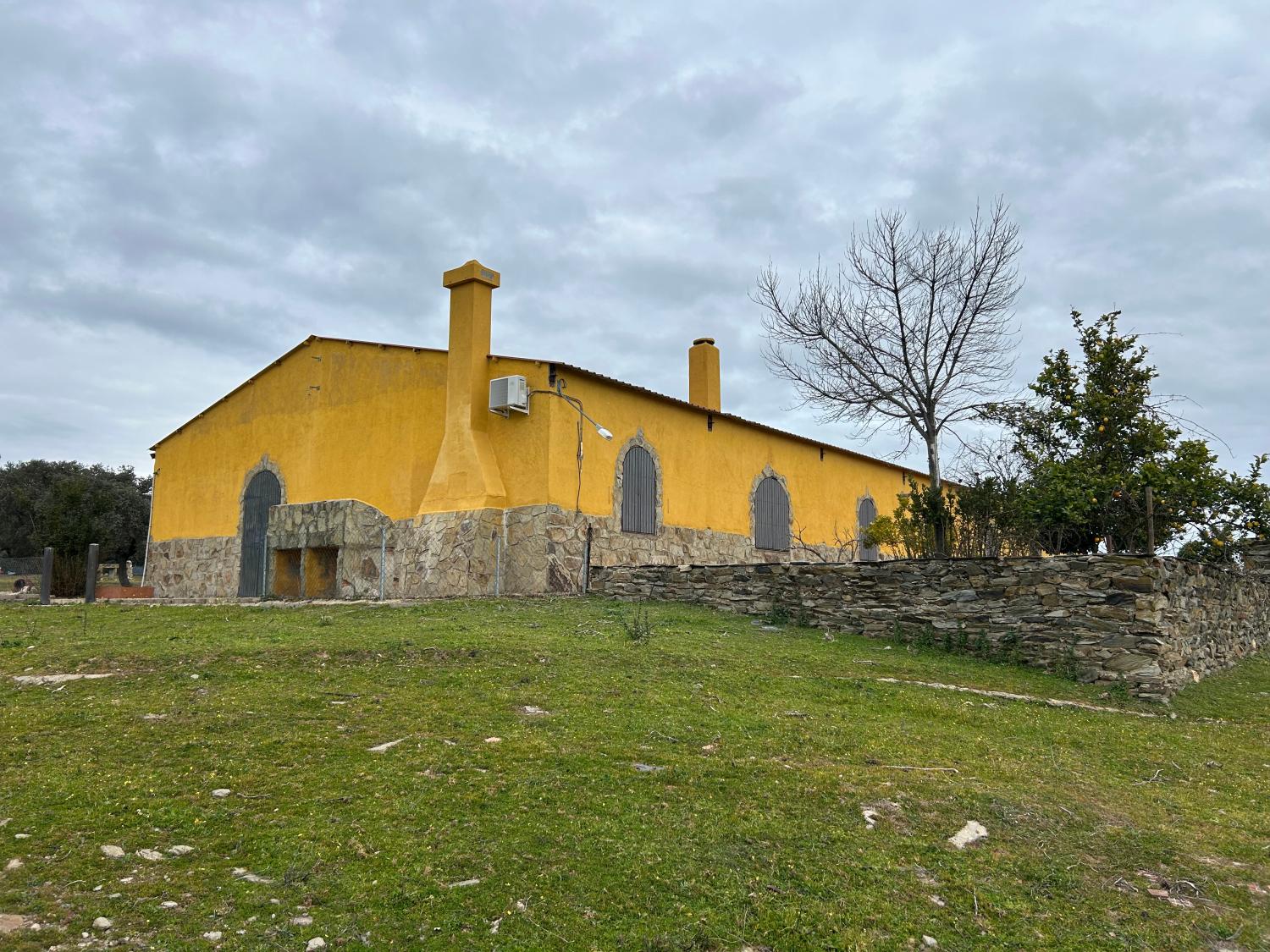  en venta finca rústica Serradilla Monfragüe 15