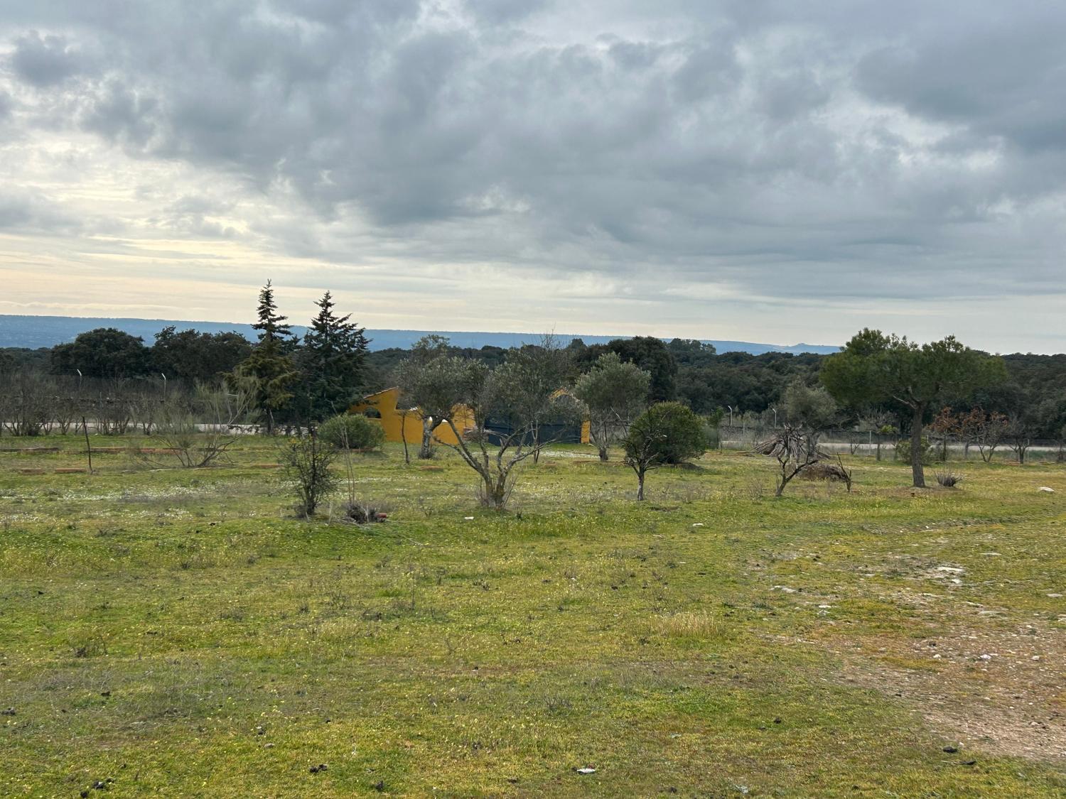  en venta finca rústica Serradilla Monfragüe 16