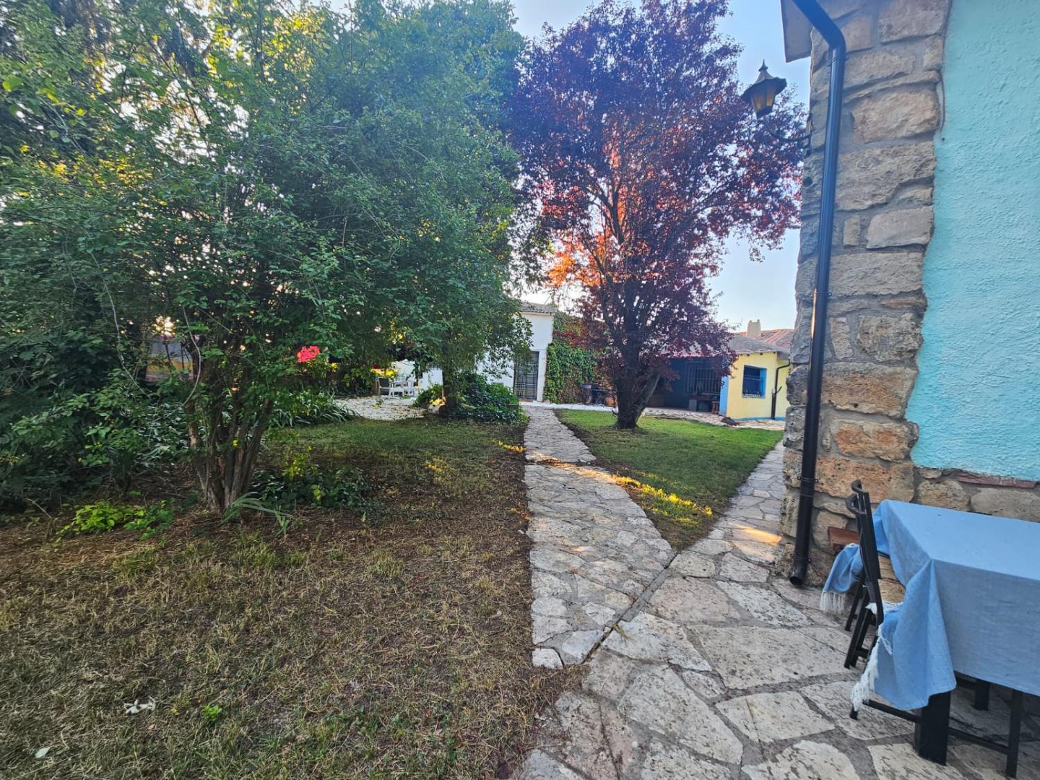  en venta casa de pueblo Cedillo De La Torre Valles Riaza Duratón 6