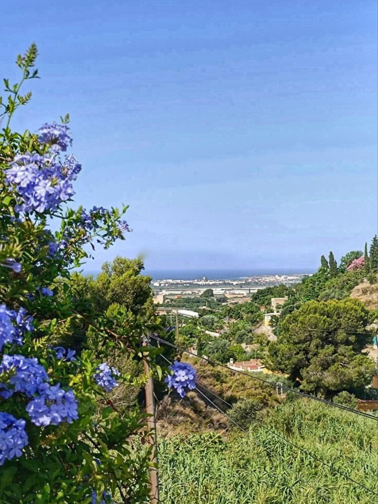  en venta finca rústica Motril Costa Tropical 28