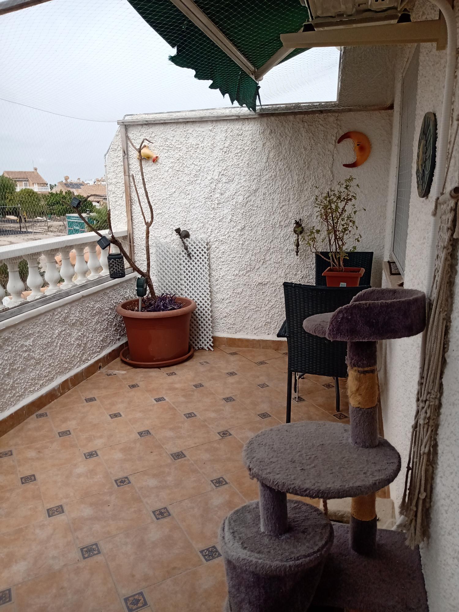  en venta pareado Orihuela Costa Baix Segura 7