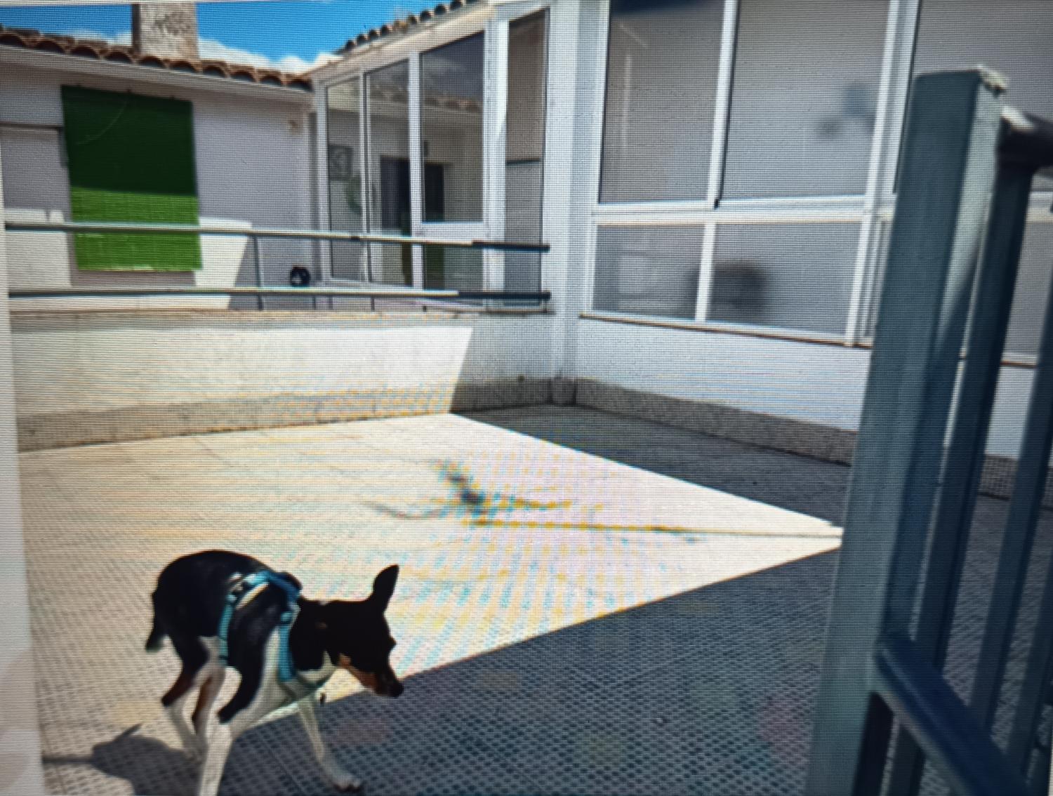  en venta casa Cardeña Pedroches (Los) 5