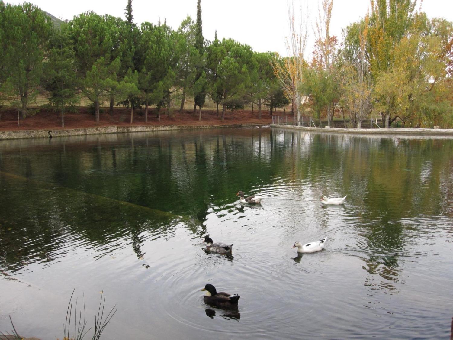  en venta casa Arbuniel Sierra Mágina 23