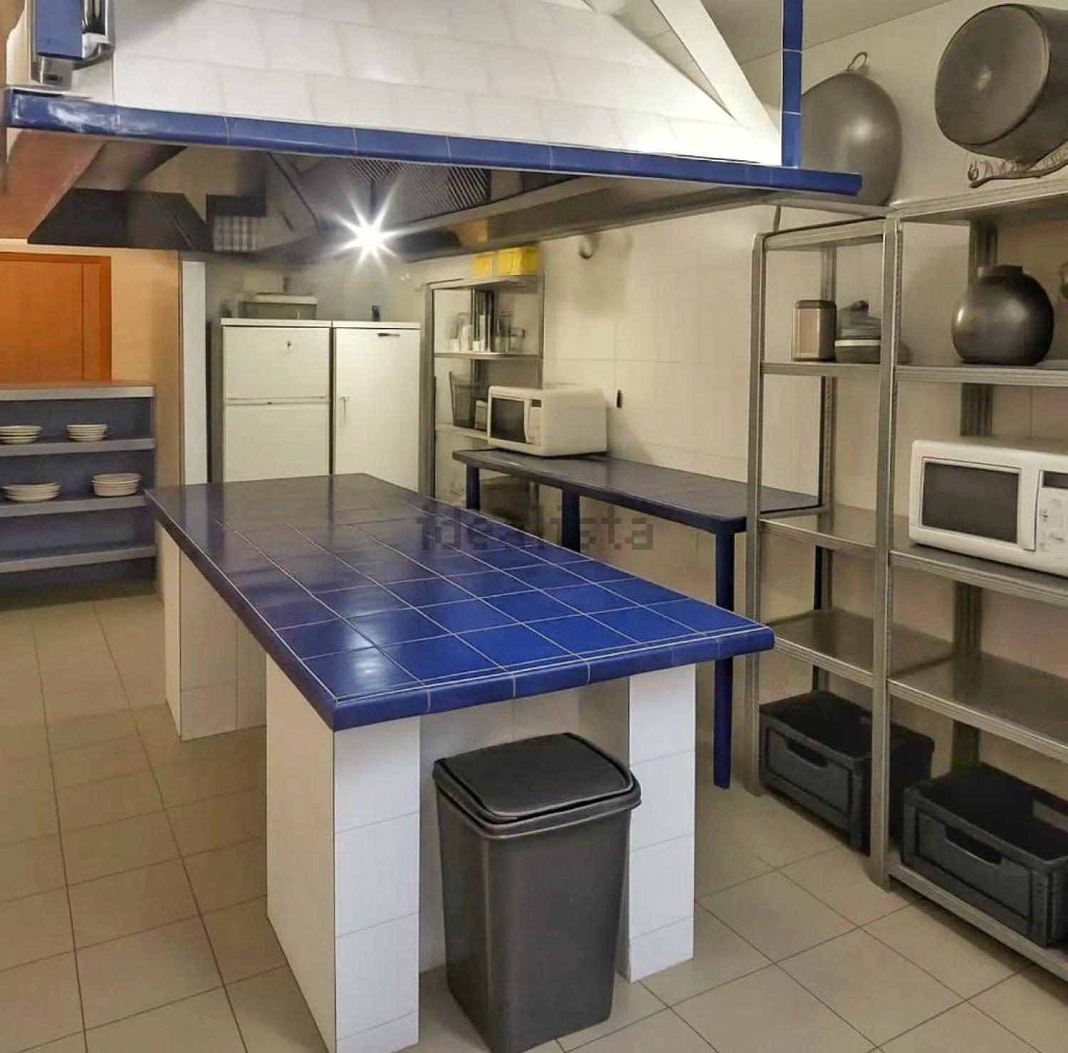  en venta finca rústica Motril Costa Tropical 19