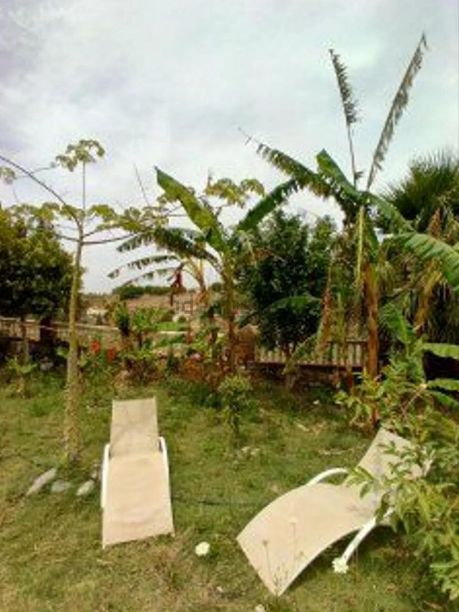  en venta finca rústica Motril Costa Tropical 26