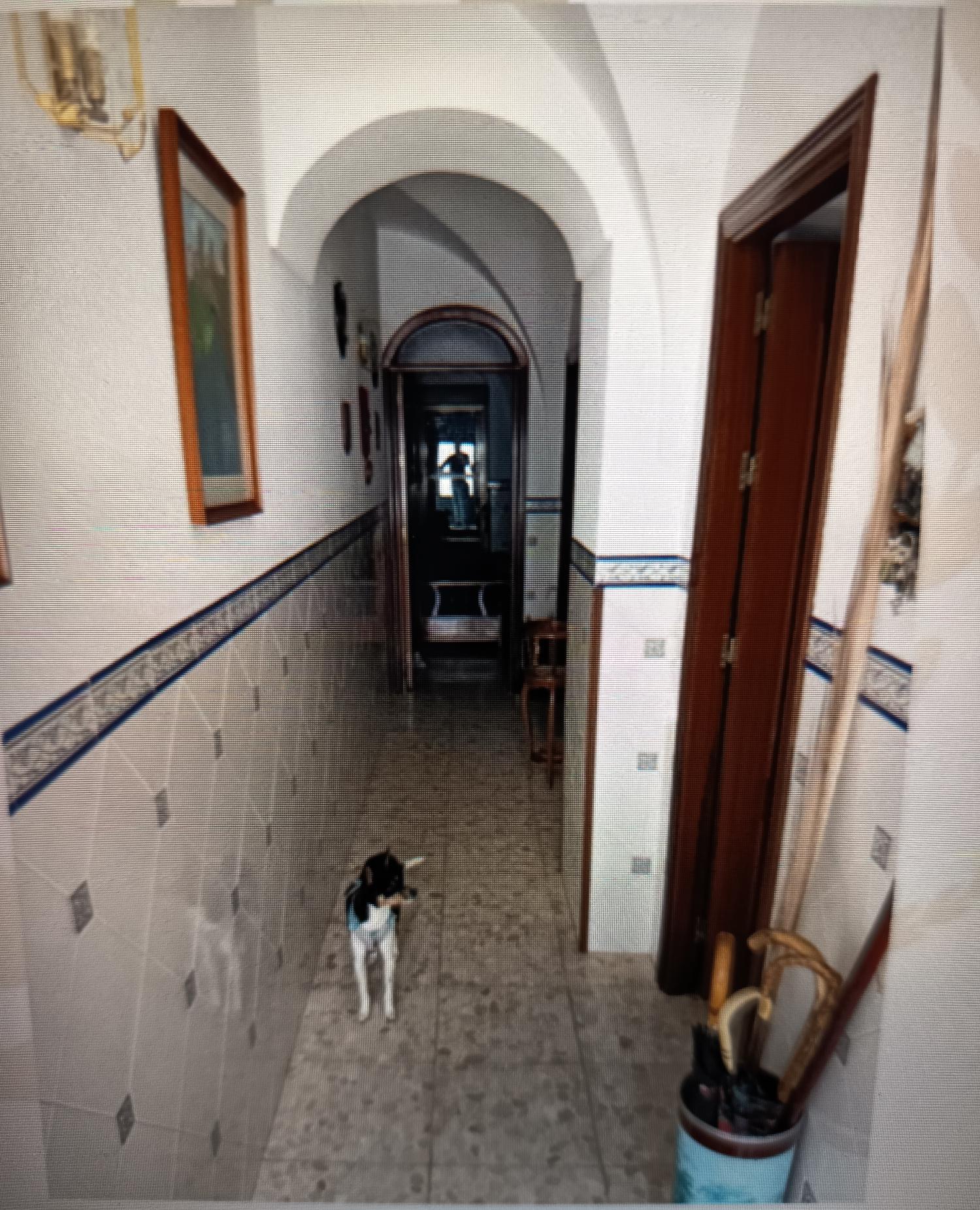 en venta casa Cardeña Pedroches (Los) 2