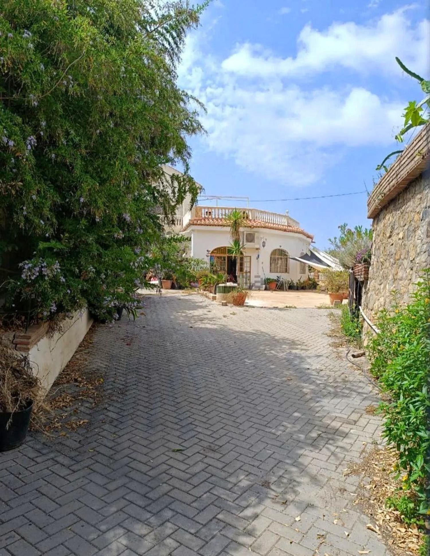  en venta finca rústica Motril Costa Tropical 30