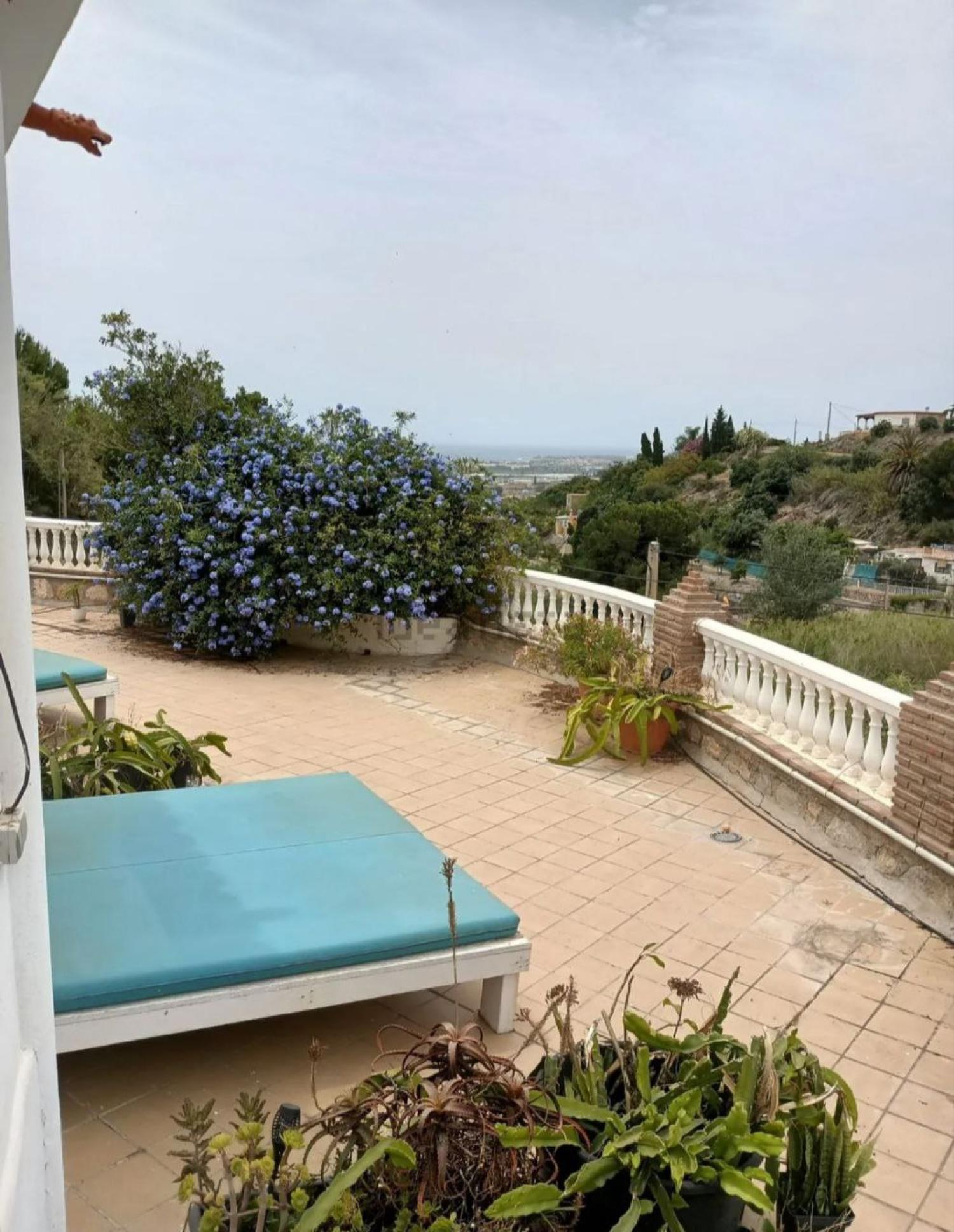  en venta finca rústica Motril Costa Tropical 31