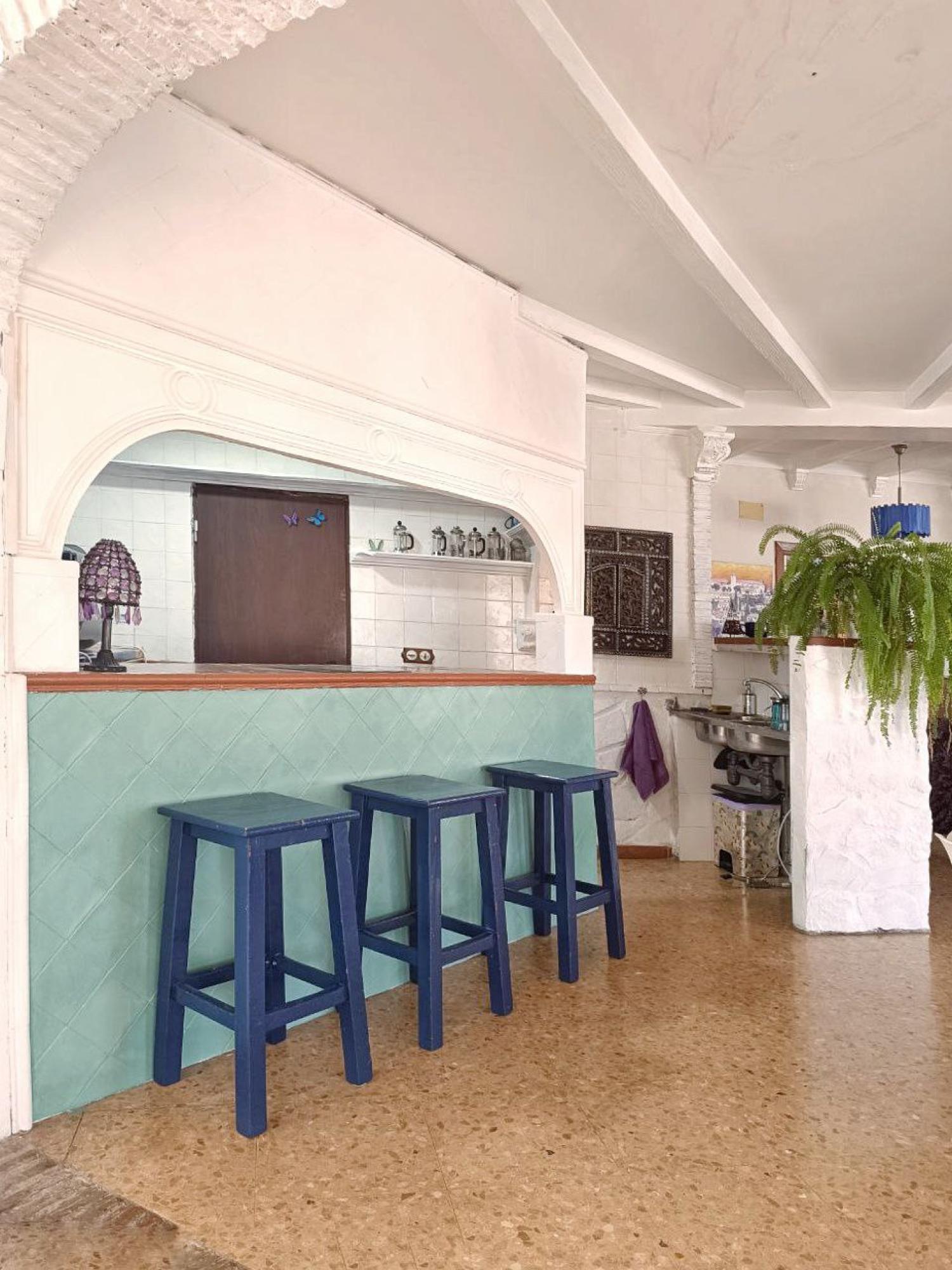  en venta finca rústica Motril Costa Tropical 14