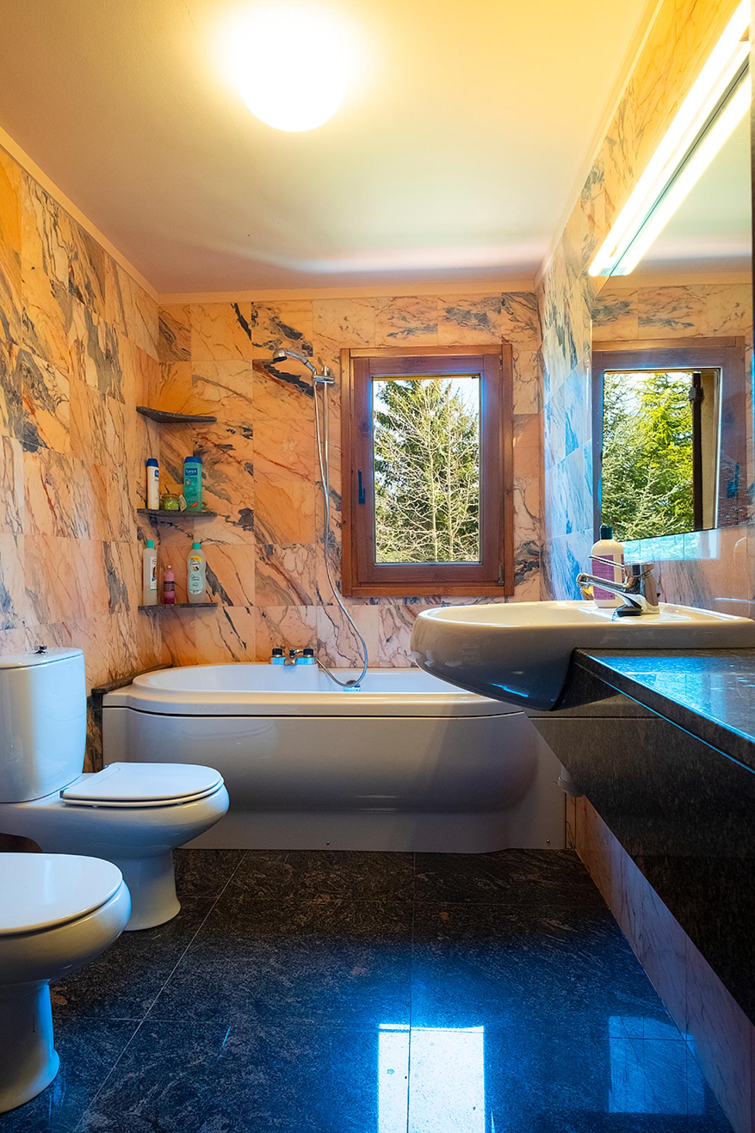  en venta chalet Vallfogona De Ripollès Ripollès 5