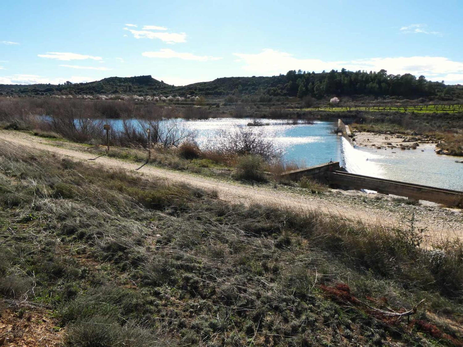  en venta finca rústica Fabara Bajo Aragón-Caspe 20