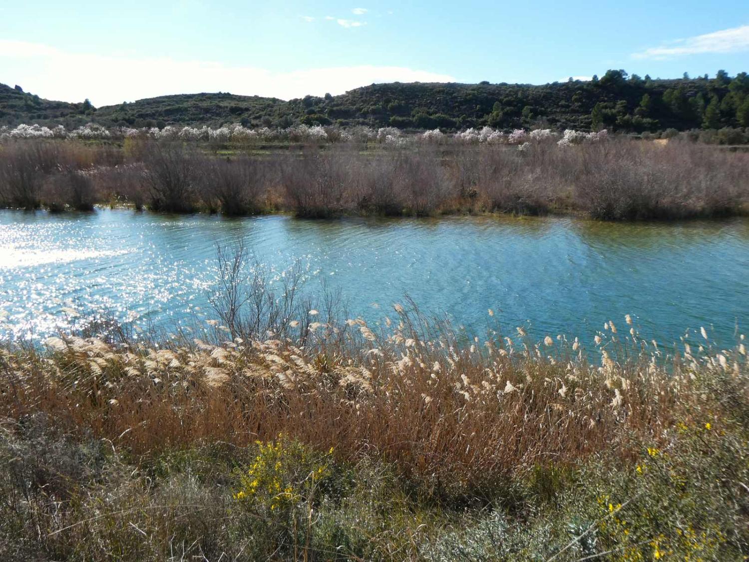  en venta finca rústica Fabara Bajo Aragón-Caspe 4