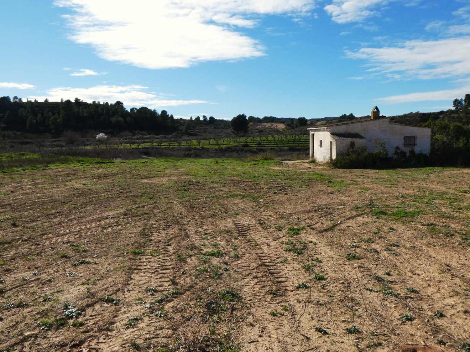  en venta finca rústica Fabara Bajo Aragón-Caspe 29