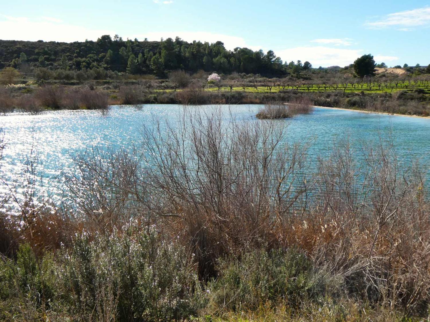  en venta finca rústica Fabara Bajo Aragón-Caspe 26